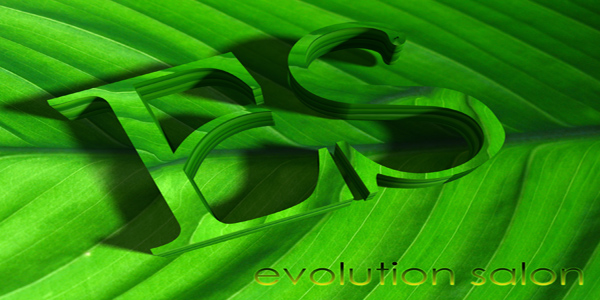 Evolution Salon logo